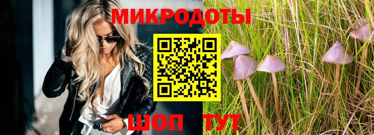 Псилоцибиновые грибы MAGIC MUSHROOMS  Вход с VPN  Майкоп  магазин  наркотиков  Псилоцибиновые грибы Psilocybe 